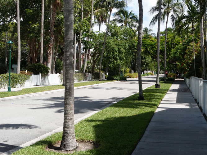 MIA_2023-08-12 11-47-35_RX_06015
